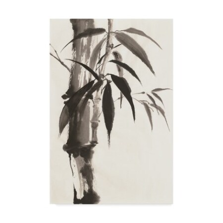 Chris Paschke 'Sumi Bamboo' Canvas Art,30x47